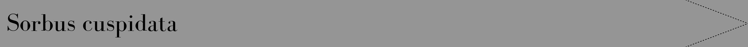 Étiquette de : Sorbus cuspidata - format b - style noire16bod avec comestibilité