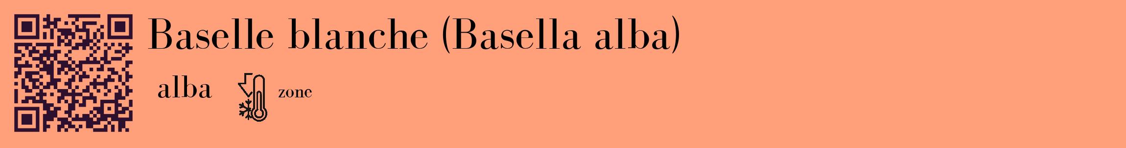 Étiquette de : Basella alba alba - format c - style noire39_basique_basiquebod avec qrcode et comestibilité