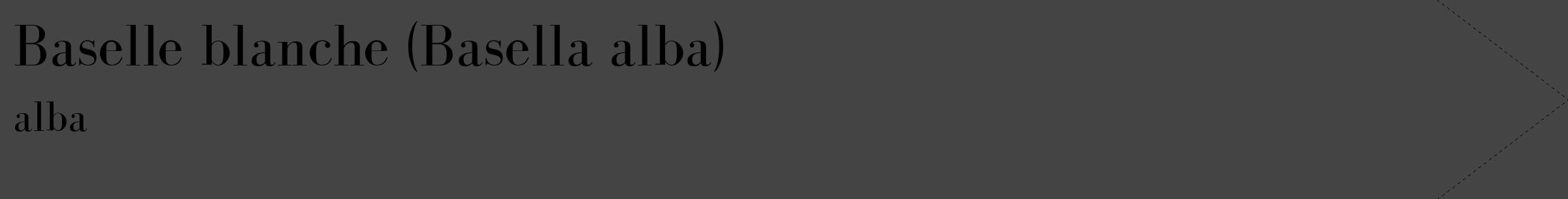 Étiquette de : Basella alba alba - format c - style noire48_simple_simplebod avec comestibilité