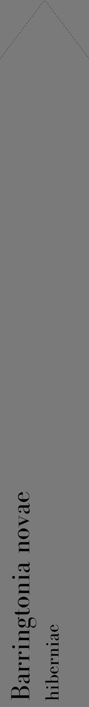 Étiquette de : Barringtonia novae hiberniae - format c - style noire3_simple_simplebod avec comestibilité - position verticale
