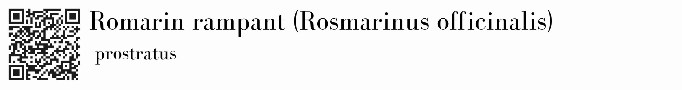 Étiquette de : Rosmarinus officinalis prostratus - format c - style noire19_basique_basiquebod avec qrcode et comestibilité