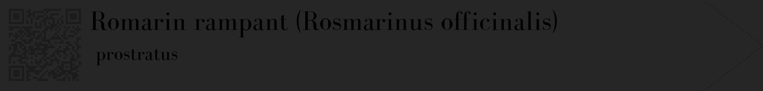 Étiquette de : Rosmarinus officinalis prostratus - format c - style noire29_simple_simplebod avec qrcode et comestibilité