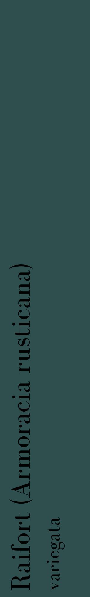 Étiquette de : Armoracia rusticana variegata - format c - style noire58_basiquebod avec comestibilité
