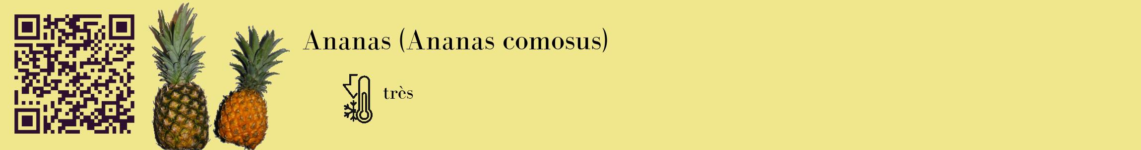 Étiquette de : Ananas comosus - format c - style noire20_basique_basiquebod avec qrcode et comestibilité