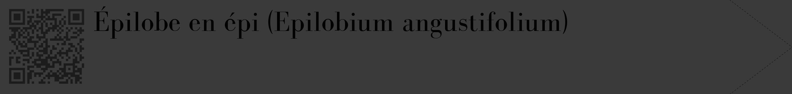 Étiquette de : Epilobium angustifolium - format c - style noire8_simple_simplebod avec qrcode et comestibilité