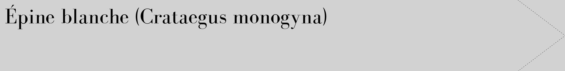 Étiquette de : Crataegus monogyna - format c - style noire14_simple_simplebod avec comestibilité