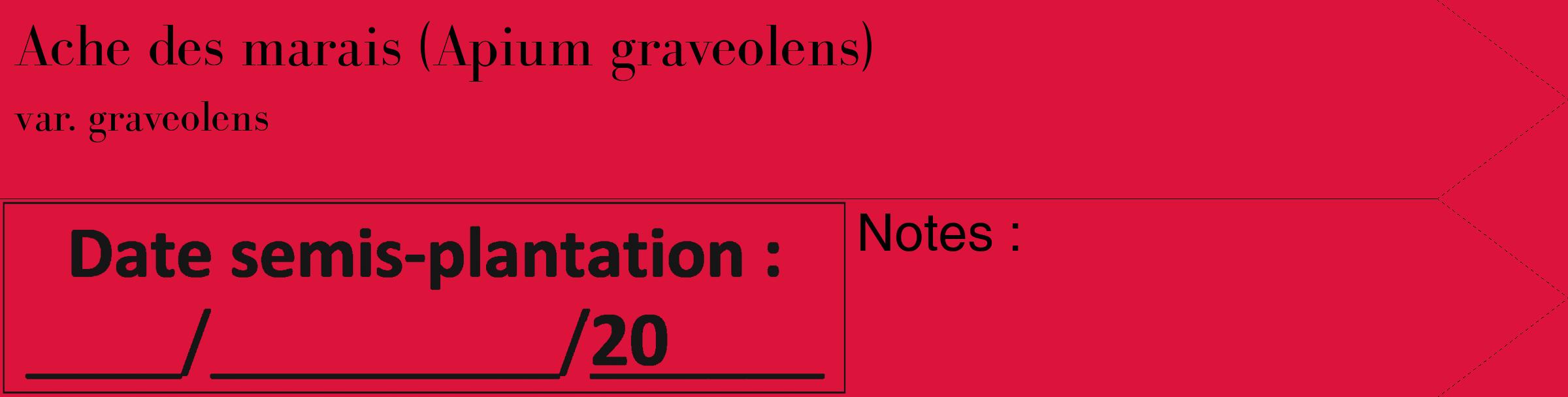 Étiquette de : Apium graveolens var. graveolens - format c - style noire36_simple_simplebod avec comestibilité