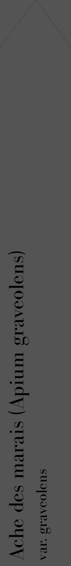 Étiquette de : Apium graveolens var. graveolens - format c - style noire36_simple_simplebod avec comestibilité - position verticale