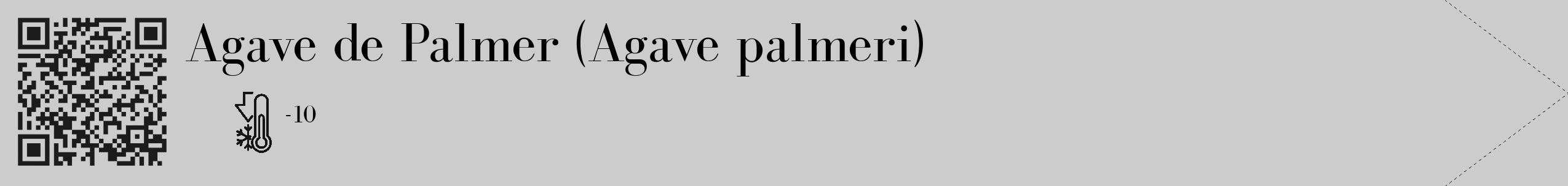 Étiquette de : Agave palmeri - format c - style noire0_simple_simplebod avec qrcode et comestibilité
