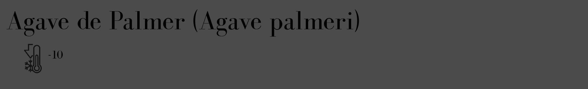 Étiquette de : Agave palmeri - format c - style noire9_basique_basiquebod avec comestibilité