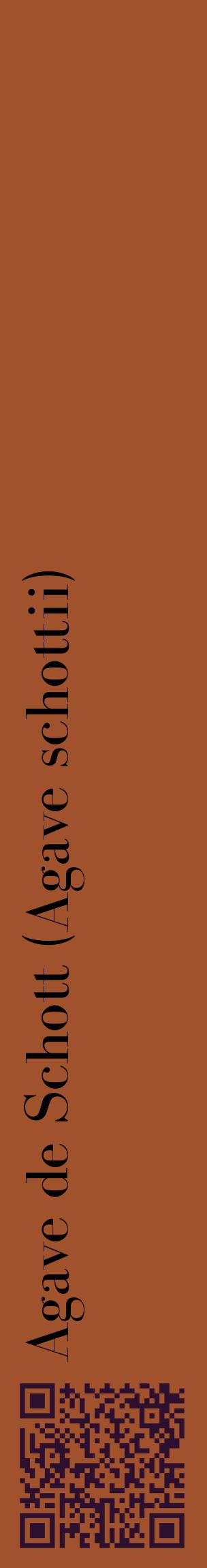 Étiquette de : Agave schottii - format c - style noire32_basiquebod avec qrcode et comestibilité