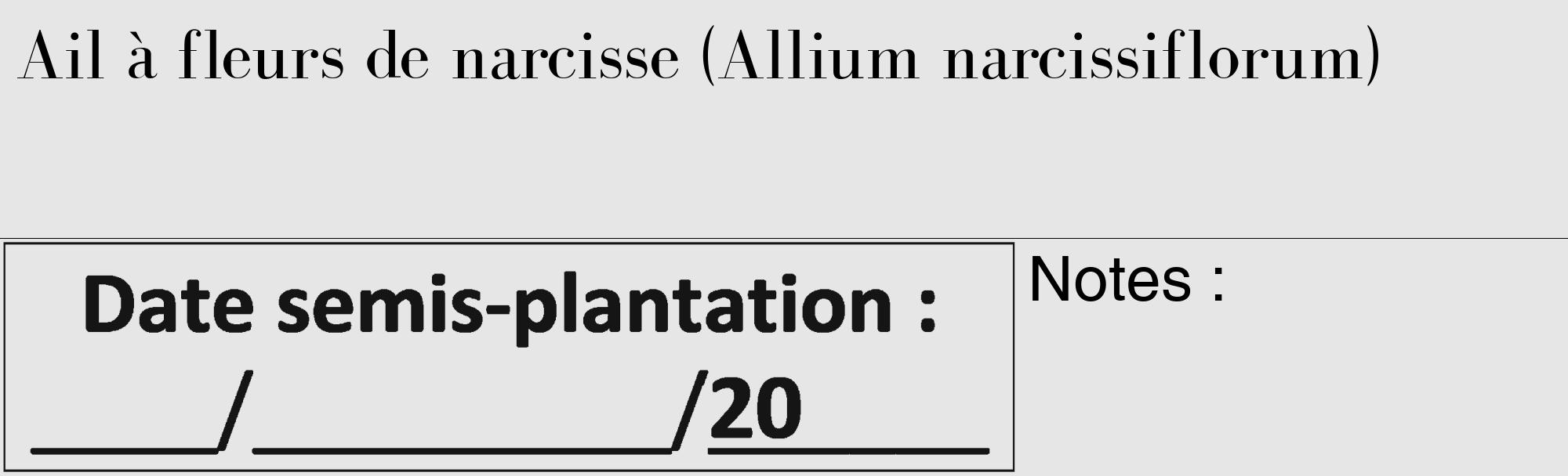 Étiquette de : Allium narcissiflorum - format c - style noire18_basique_basiquebod avec comestibilité