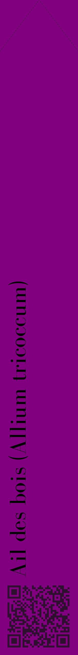 Étiquette de : Allium tricoccum - format c - style noire46_simplebod avec qrcode et comestibilité