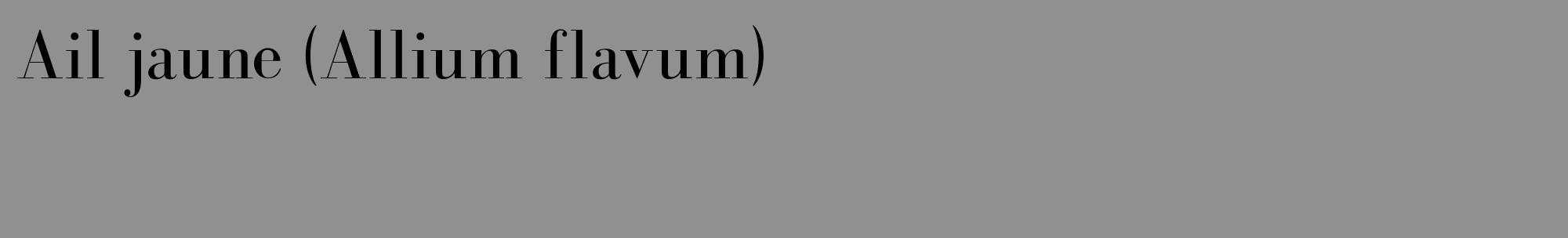Étiquette de : Allium flavum - format c - style noire4_basique_basiquebod avec comestibilité