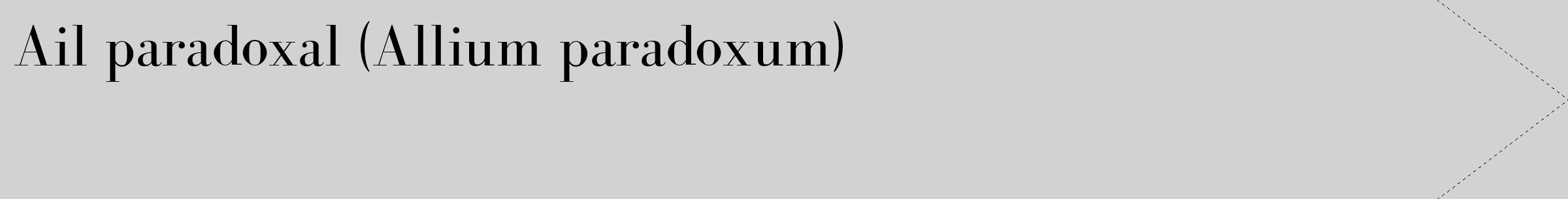 Étiquette de : Allium paradoxum - format c - style noire14_simple_simplebod avec comestibilité