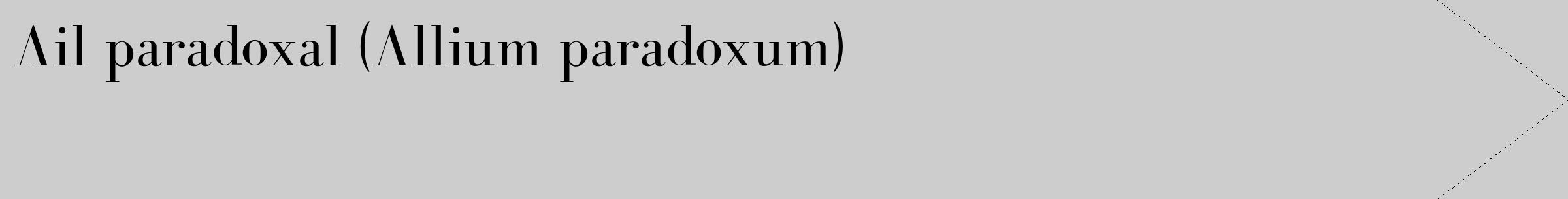 Étiquette de : Allium paradoxum - format c - style noire41_simple_simplebod avec comestibilité