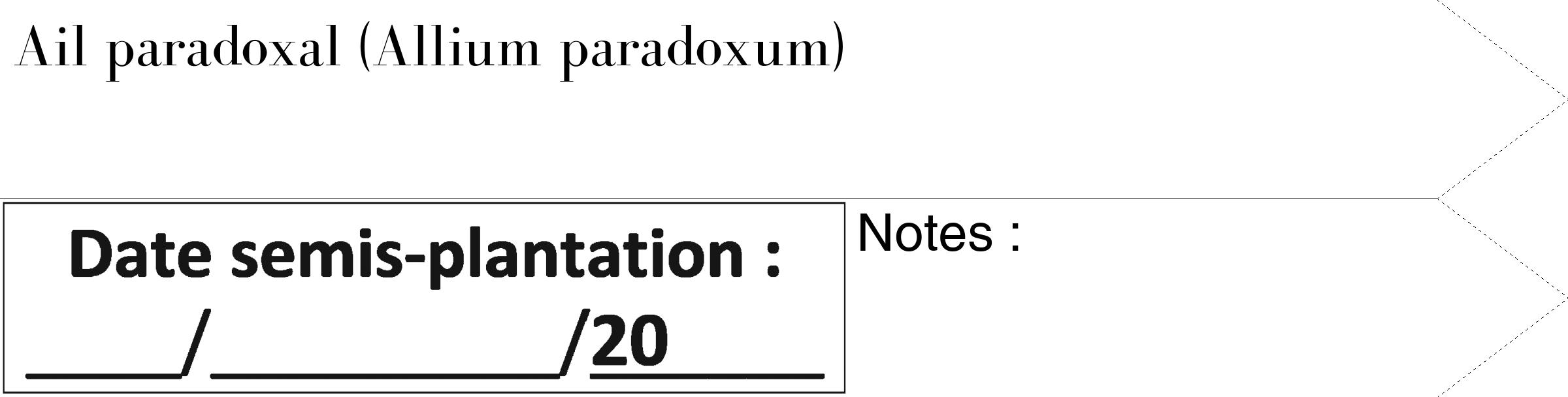 Étiquette de : Allium paradoxum - format c - style noire60_simple_simplebod avec comestibilité
