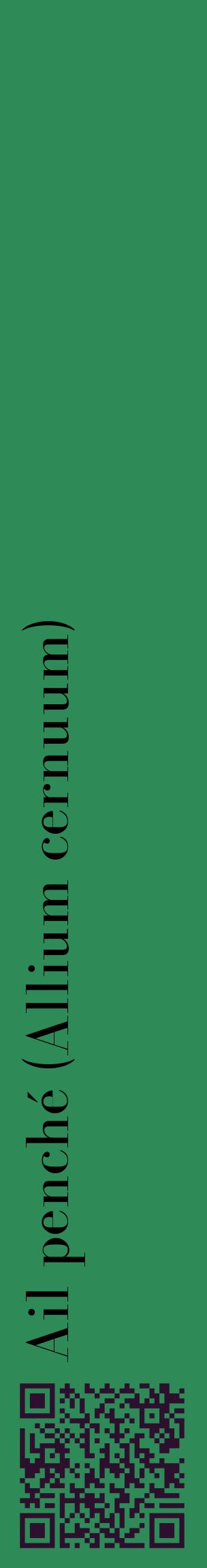 Étiquette de : Allium cernuum - format c - style noire11_basiquebod avec qrcode et comestibilité
