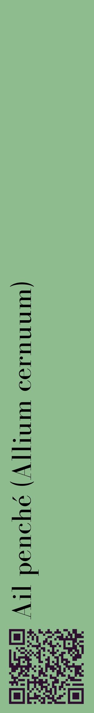 Étiquette de : Allium cernuum - format c - style noire13_basiquebod avec qrcode et comestibilité