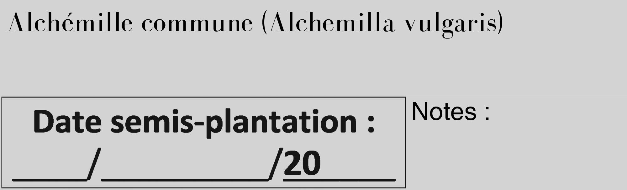Étiquette de : Alchemilla vulgaris - format c - style noire56_basique_basiquebod avec comestibilité
