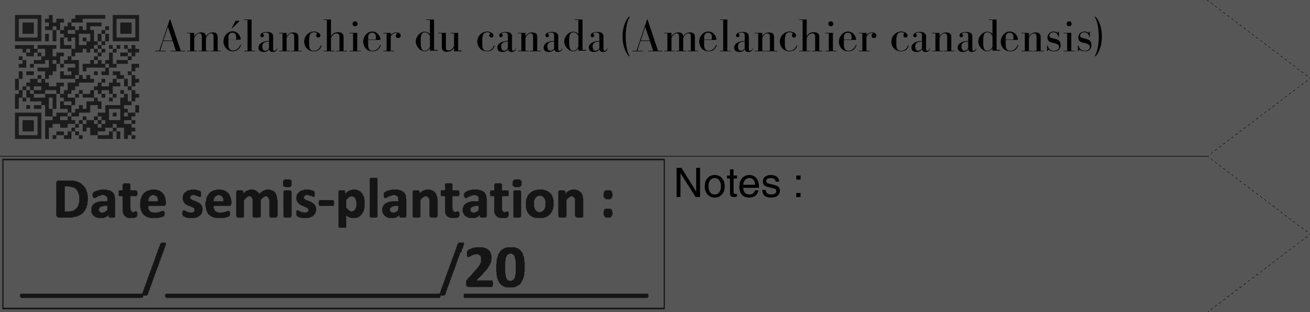 Étiquette de : Amelanchier canadensis - format c - style noire45_simple_simplebod avec qrcode et comestibilité
