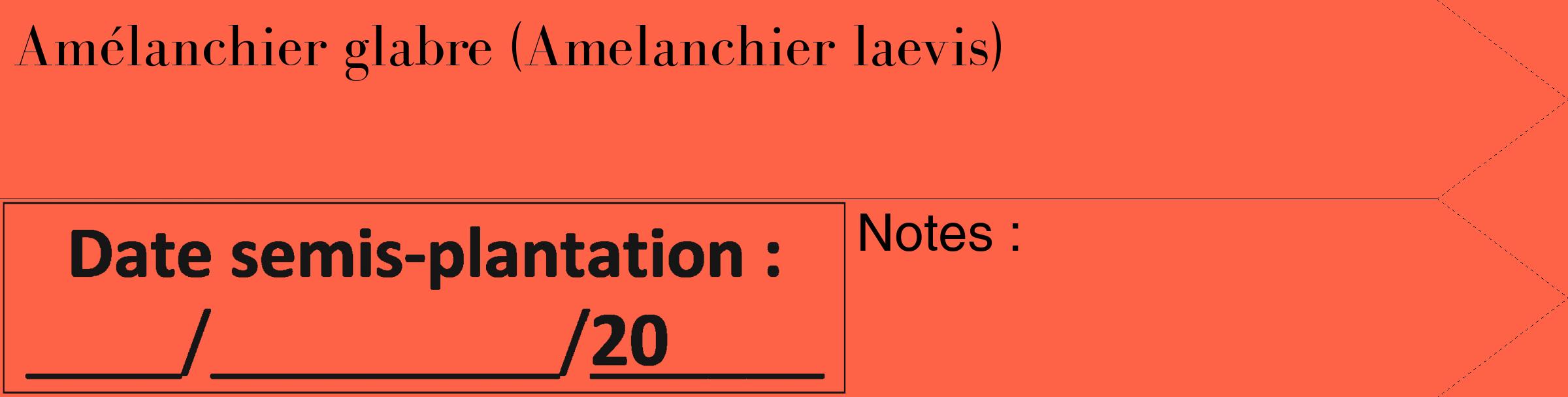 Étiquette de : Amelanchier laevis - format c - style noire25_simple_simplebod avec comestibilité