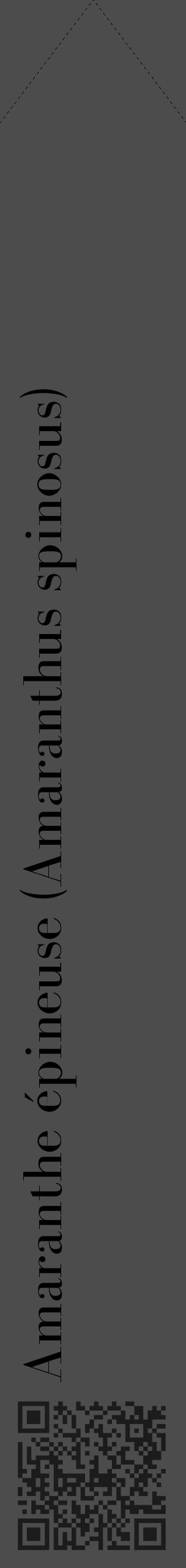 Étiquette de : Amaranthus spinosus - format c - style noire27_simple_simplebod avec qrcode et comestibilité - position verticale