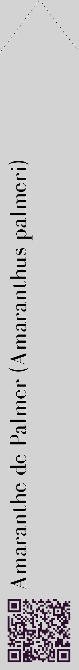 Étiquette de : Amaranthus palmeri - format c - style noire56_simplebod avec qrcode et comestibilité