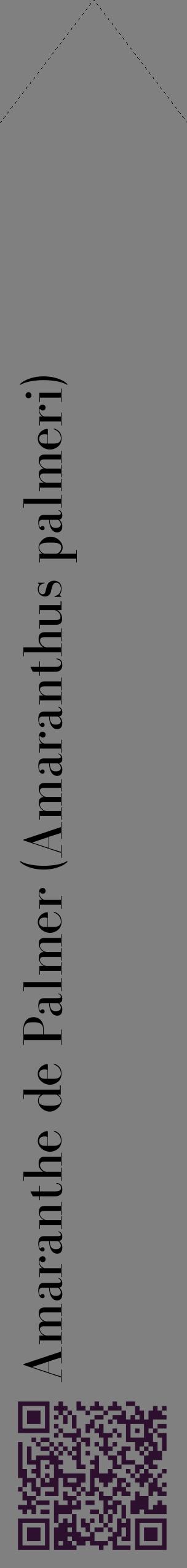 Étiquette de : Amaranthus palmeri - format c - style noire57_simplebod avec qrcode et comestibilité