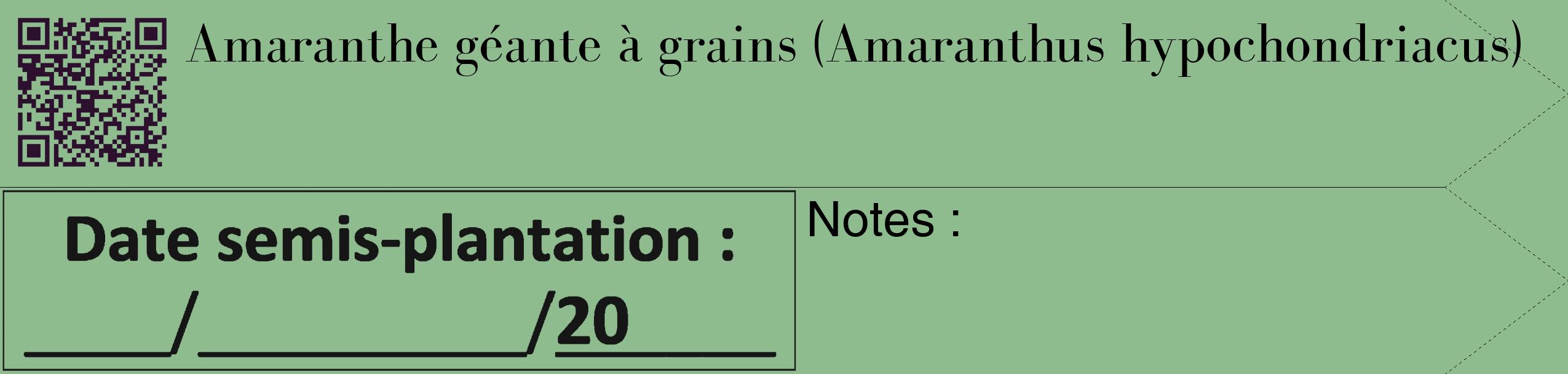 Étiquette de : Amaranthus hypochondriacus - format c - style noire13_simple_simplebod avec qrcode et comestibilité