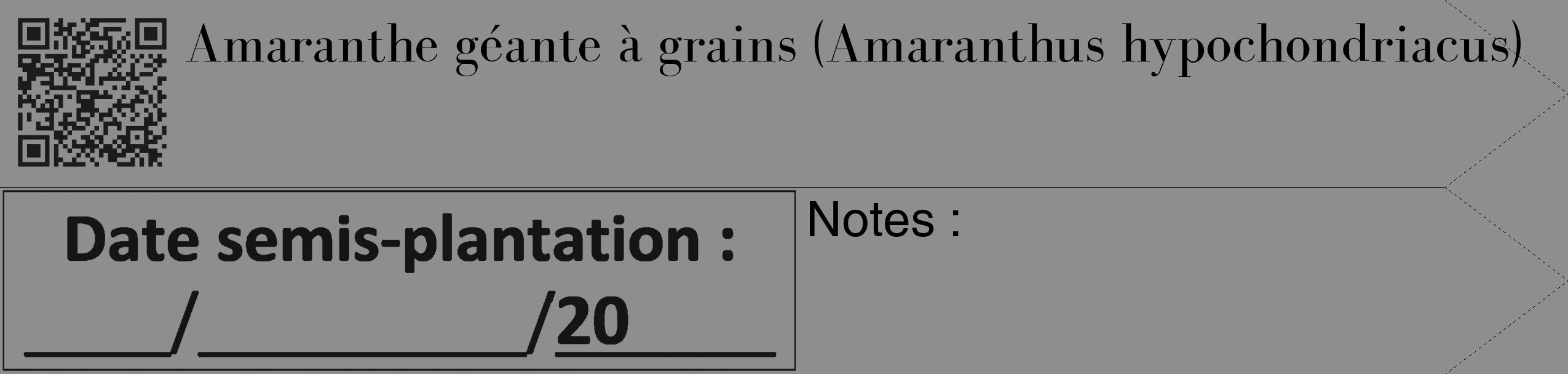 Étiquette de : Amaranthus hypochondriacus - format c - style noire25_simple_simplebod avec qrcode et comestibilité