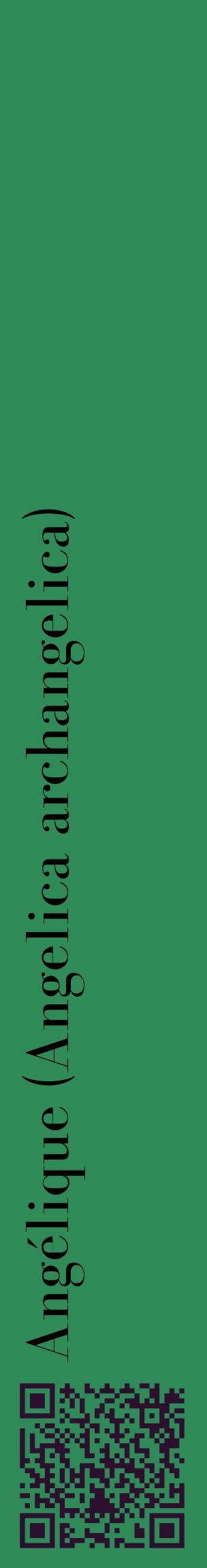 Étiquette de : Angelica archangelica - format c - style noire11_basiquebod avec qrcode et comestibilité