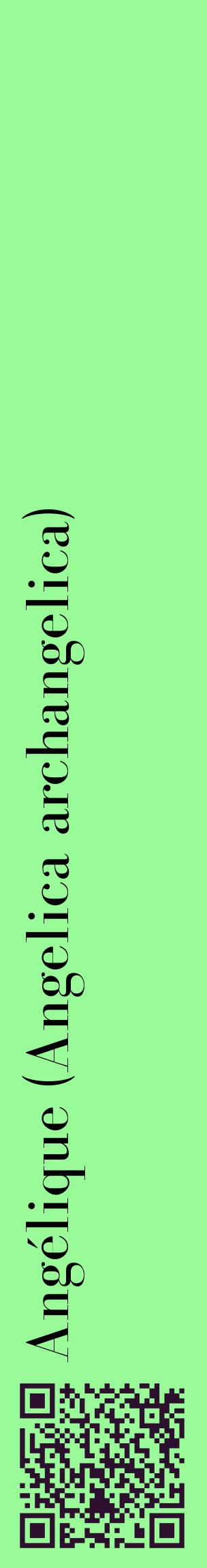 Étiquette de : Angelica archangelica - format c - style noire14_basiquebod avec qrcode et comestibilité