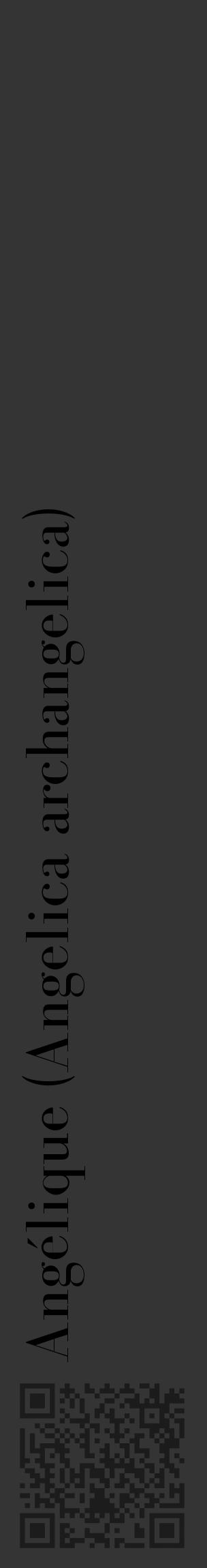 Étiquette de : Angelica archangelica - format c - style noire46_basique_basiquebod avec qrcode et comestibilité - position verticale