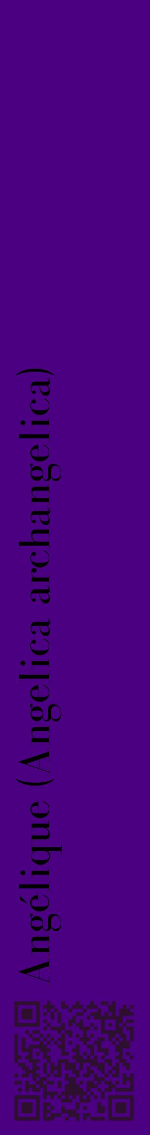 Étiquette de : Angelica archangelica - format c - style noire47_basiquebod avec qrcode et comestibilité