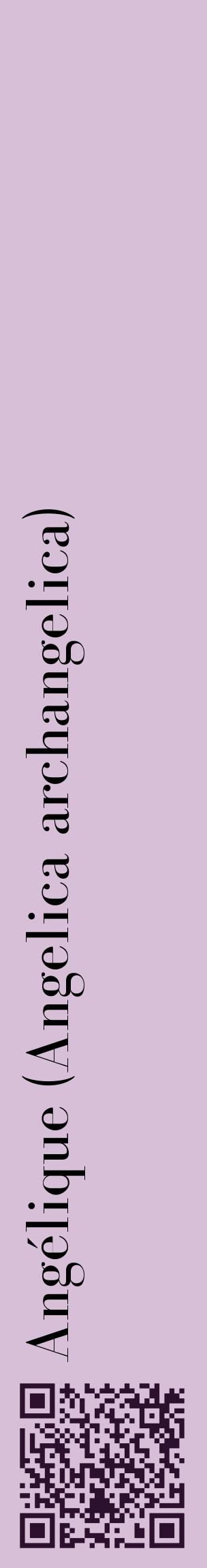 Étiquette de : Angelica archangelica - format c - style noire54_basiquebod avec qrcode et comestibilité
