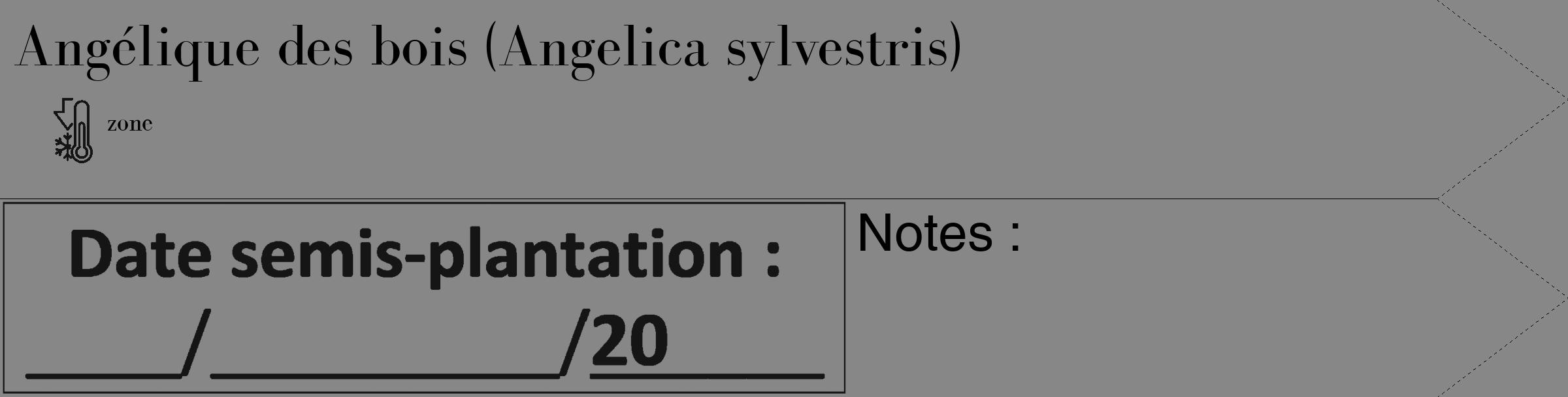 Étiquette de : Angelica sylvestris - format c - style noire12_simple_simplebod avec comestibilité