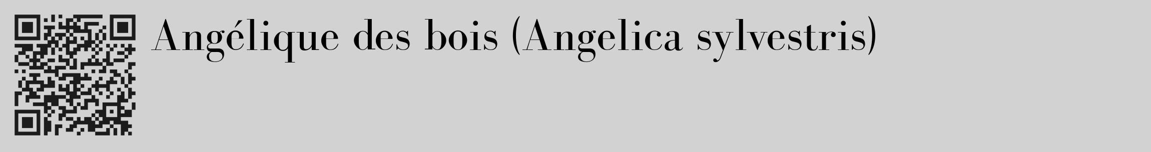 Étiquette de : Angelica sylvestris - format c - style noire14_basique_basiquebod avec qrcode et comestibilité