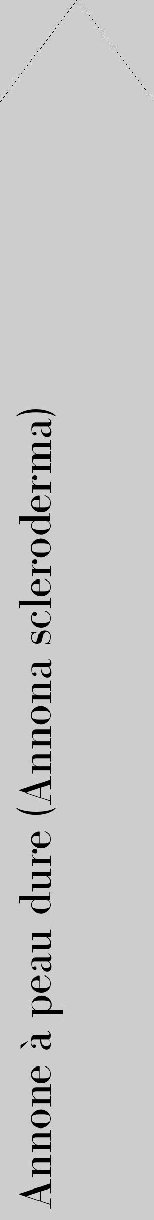 Étiquette de : Annona scleroderma - format c - style noire41_simple_simplebod avec comestibilité - position verticale