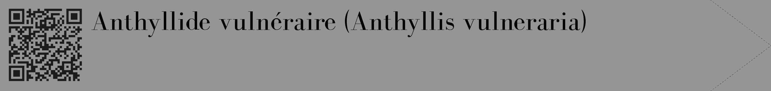 Étiquette de : Anthyllis vulneraria - format c - style noire16_simple_simplebod avec qrcode et comestibilité