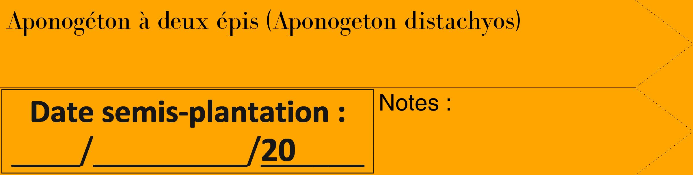Étiquette de : Aponogeton distachyos - format c - style noire22_simple_simplebod avec comestibilité