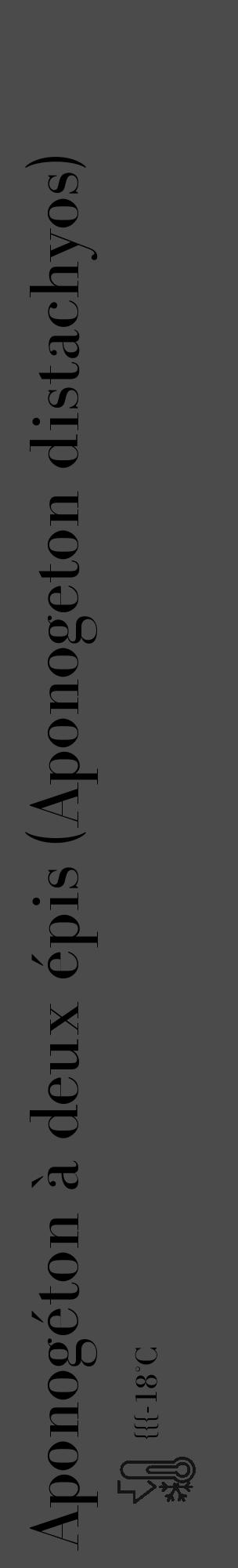 Étiquette de : Aponogeton distachyos - format c - style noire9_basique_basiquebod avec comestibilité - position verticale