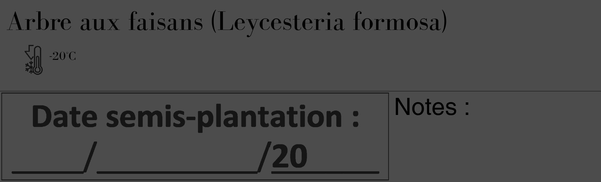 Étiquette de : Leycesteria formosa - format c - style noire27_basique_basiquebod avec comestibilité
