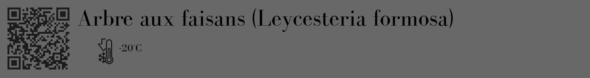Étiquette de : Leycesteria formosa - format c - style noire43_basique_basiquebod avec qrcode et comestibilité