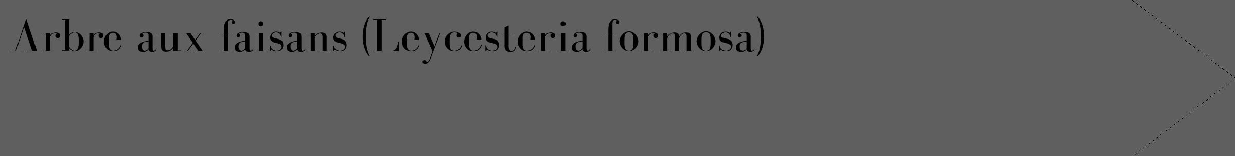 Étiquette de : Leycesteria formosa - format c - style noire10_simple_simplebod avec comestibilité