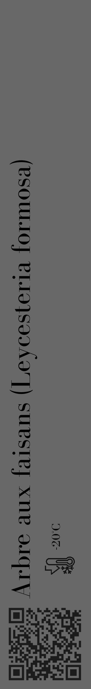 Étiquette de : Leycesteria formosa - format c - style noire43_basique_basiquebod avec qrcode et comestibilité - position verticale