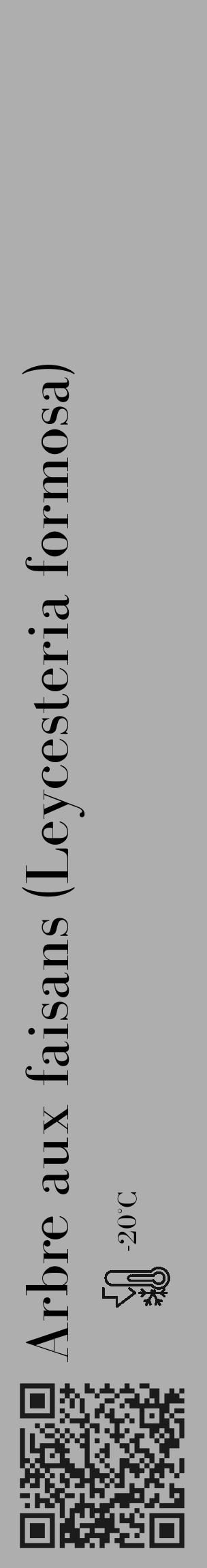 Étiquette de : Leycesteria formosa - format c - style noire53_basique_basiquebod avec qrcode et comestibilité - position verticale