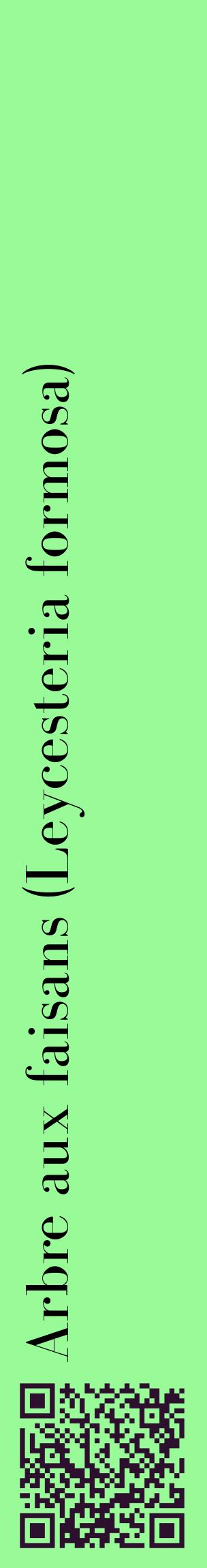 Étiquette de : Leycesteria formosa - format c - style noire14_basiquebod avec qrcode et comestibilité