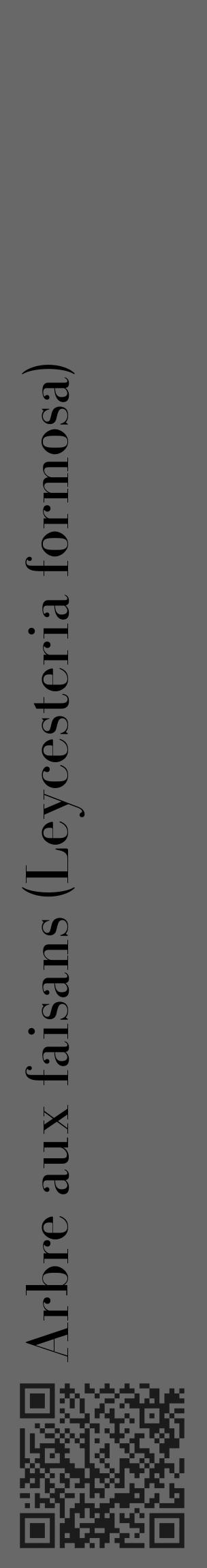 Étiquette de : Leycesteria formosa - format c - style noire43_basique_basiquebod avec qrcode et comestibilité - position verticale