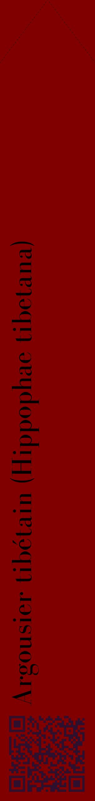 Étiquette de : Hippophae tibetana - format c - style noire29_simplebod avec qrcode et comestibilité